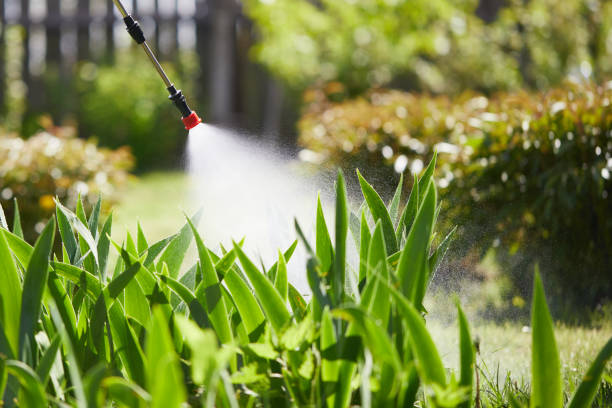 24/7 Emergency Wasp Removal experts in New Albany, OH