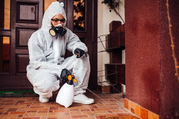 Reliable Wasp Removal contractor in New Albany, OH by Show Me Pest Control